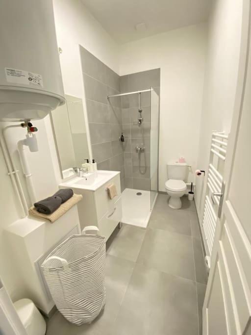 Coup De Coeur En Centre-ville Apartment Orleans